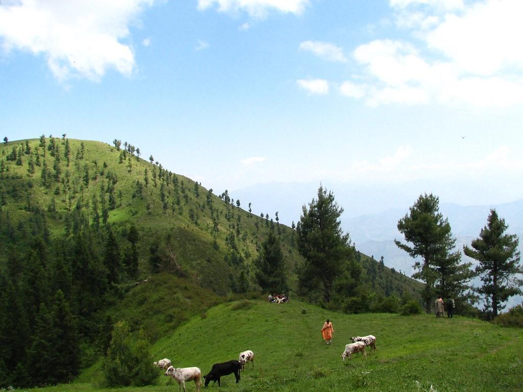 Miranjani Trek | Abbottabad | میرانجانی ٹریک